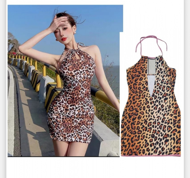 Animal Print Dress